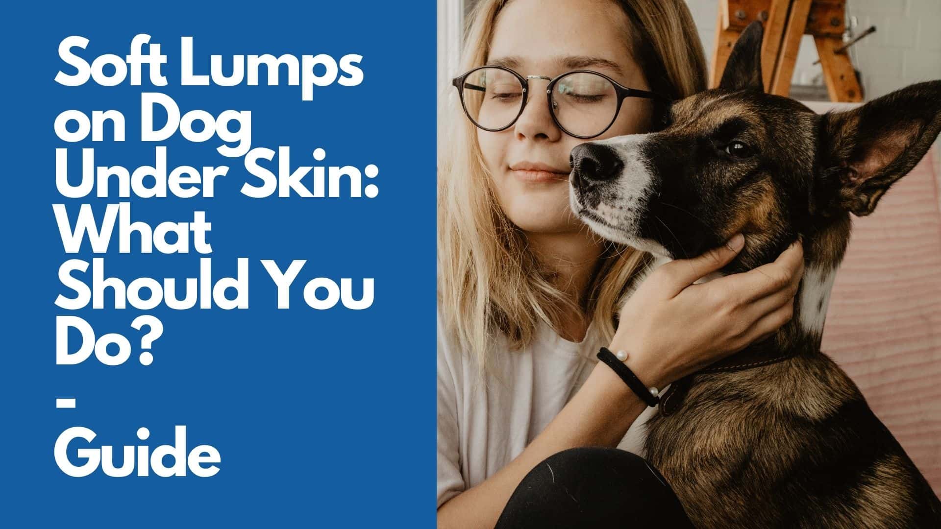 Soft Lumps on Dog Under Skin What Should You Do  Guide