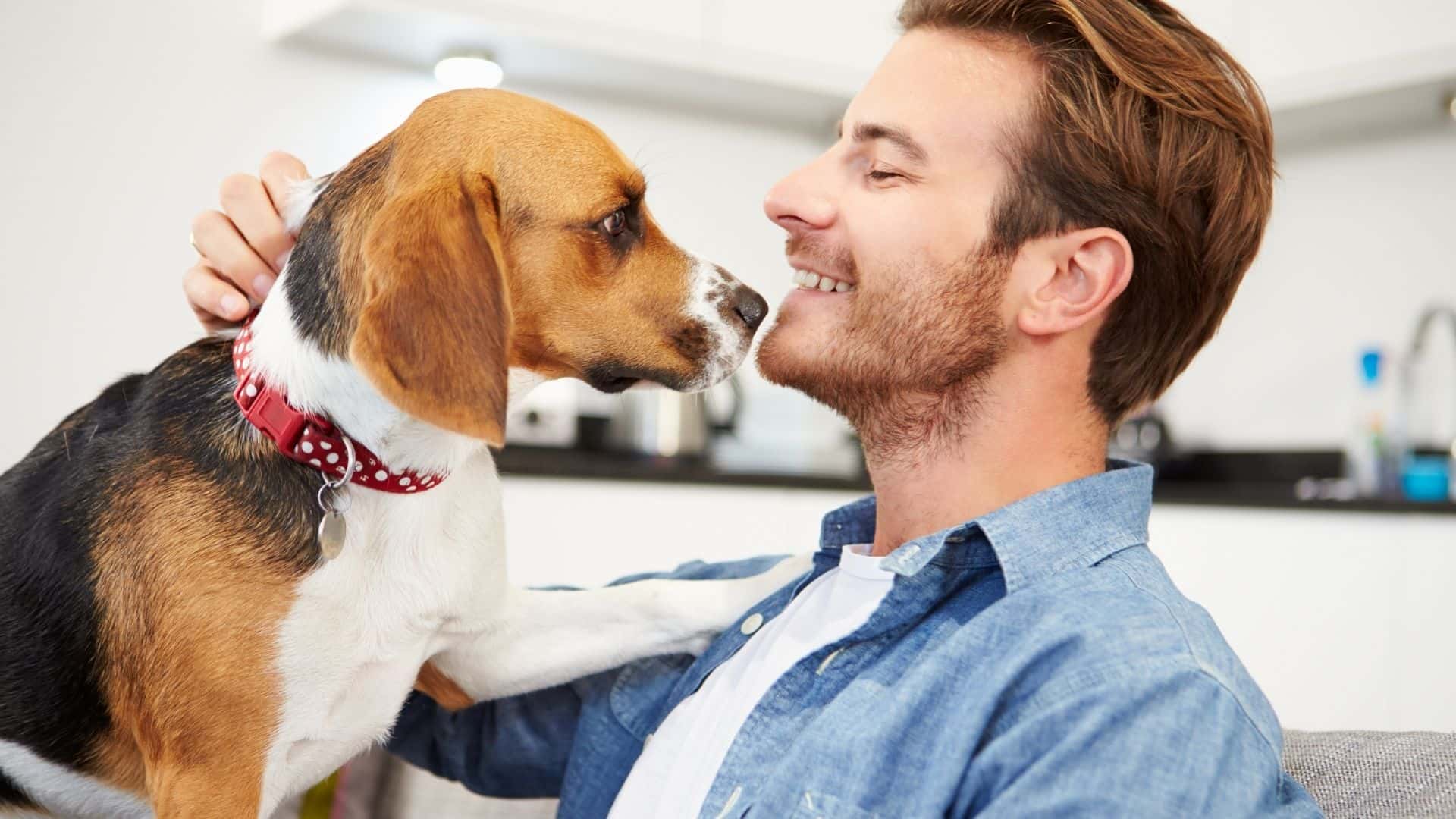 Why Are Dogs Called 'Man's Best Friend'? | 10 Reasons Guide