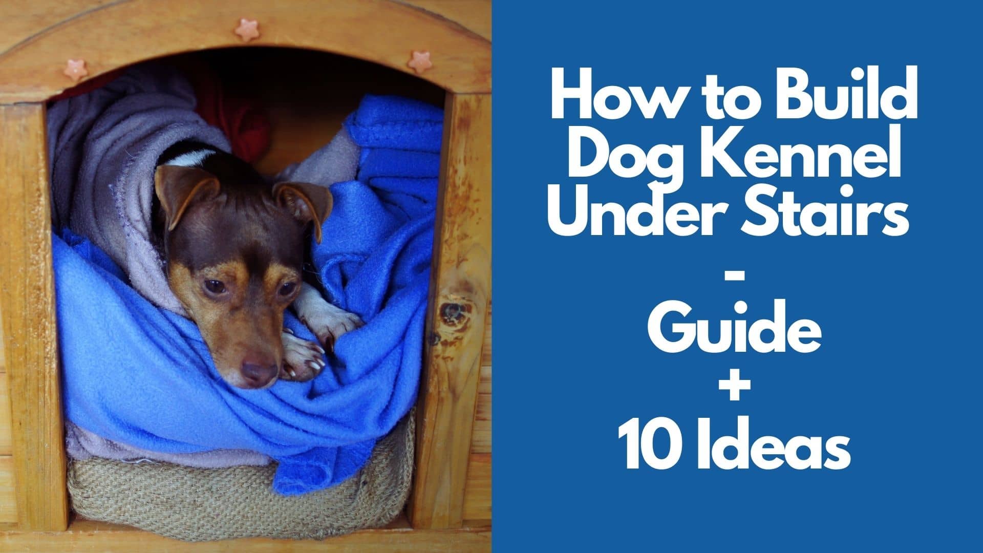 How to Build Dog Kennel Under Stairs  Guide + 10 Ideas
