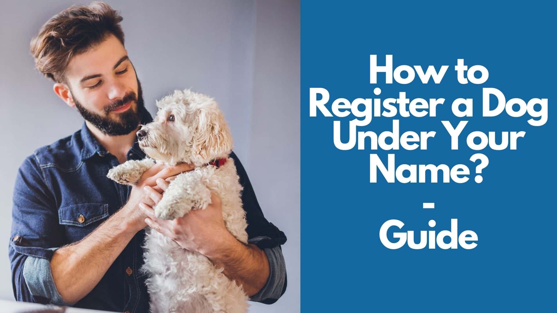 How to Register a Dog Under Your Name 