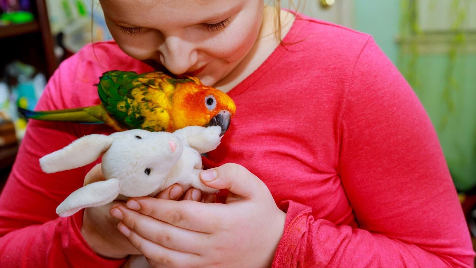 Do birds like being pet?