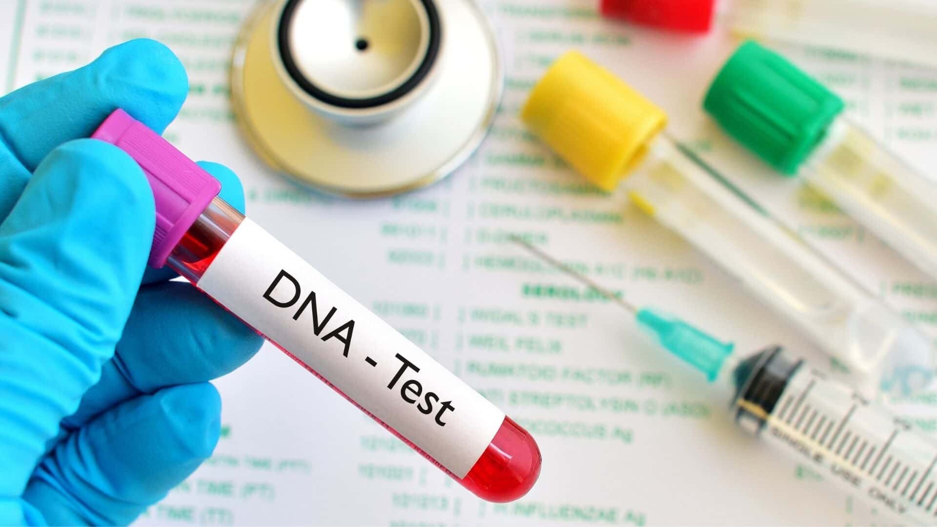 How much to DNA test a dog?