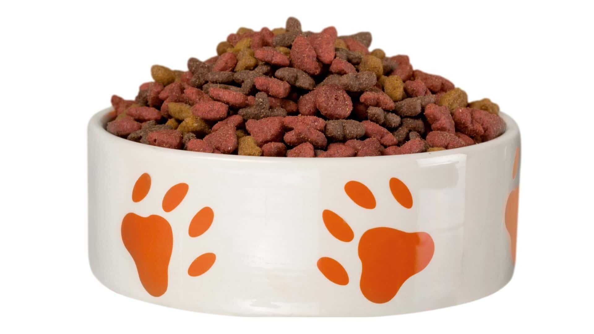 Quality dog foods without chicken