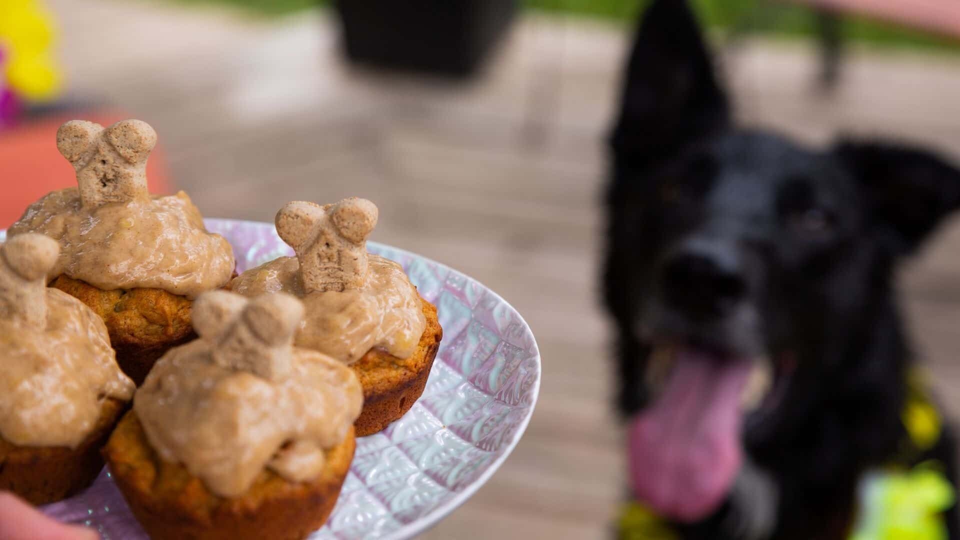 5 Cake Recipes for Dogs Without Peanut Butter Guide 2024