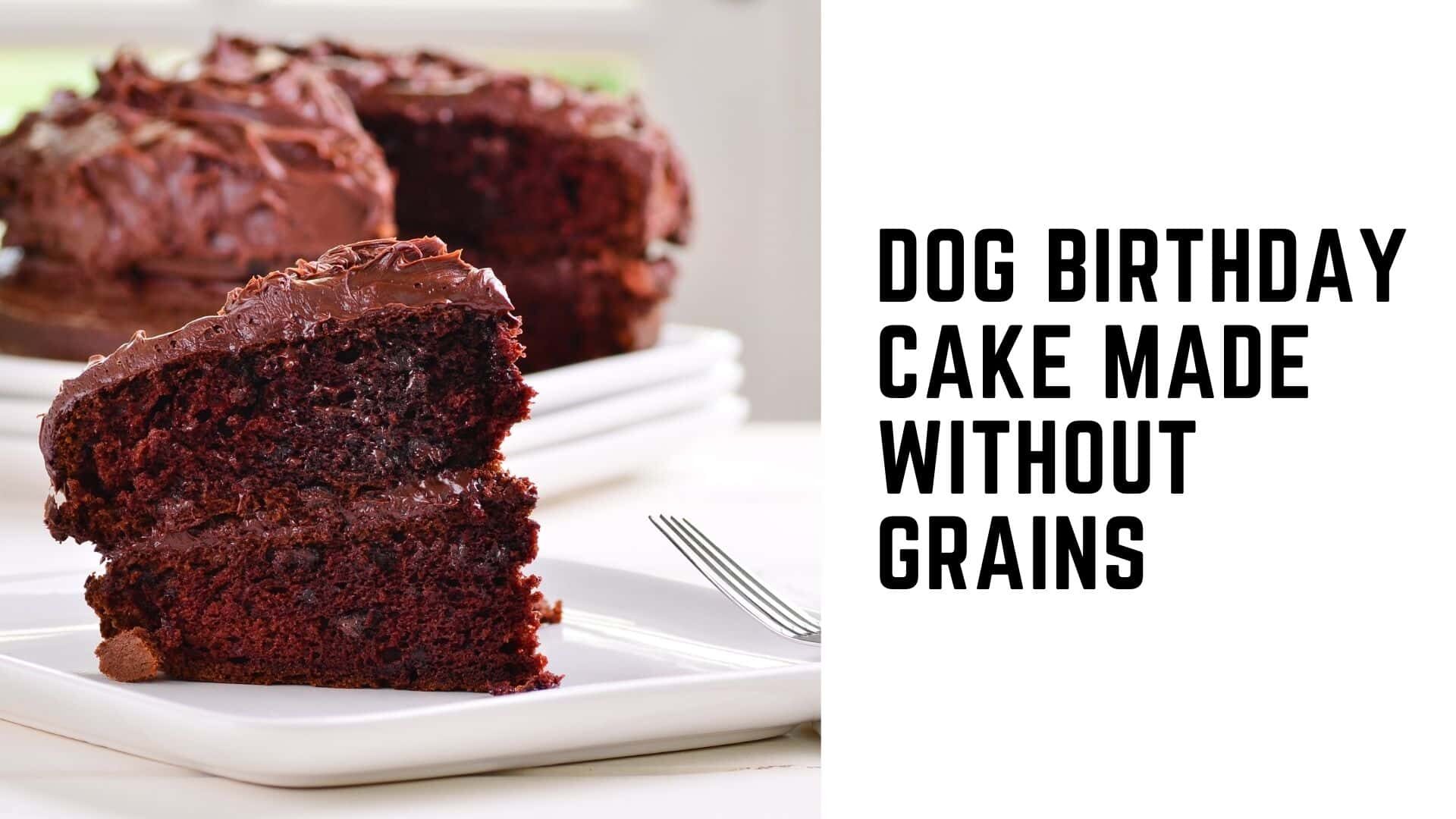 Dog birthday cake made without grains