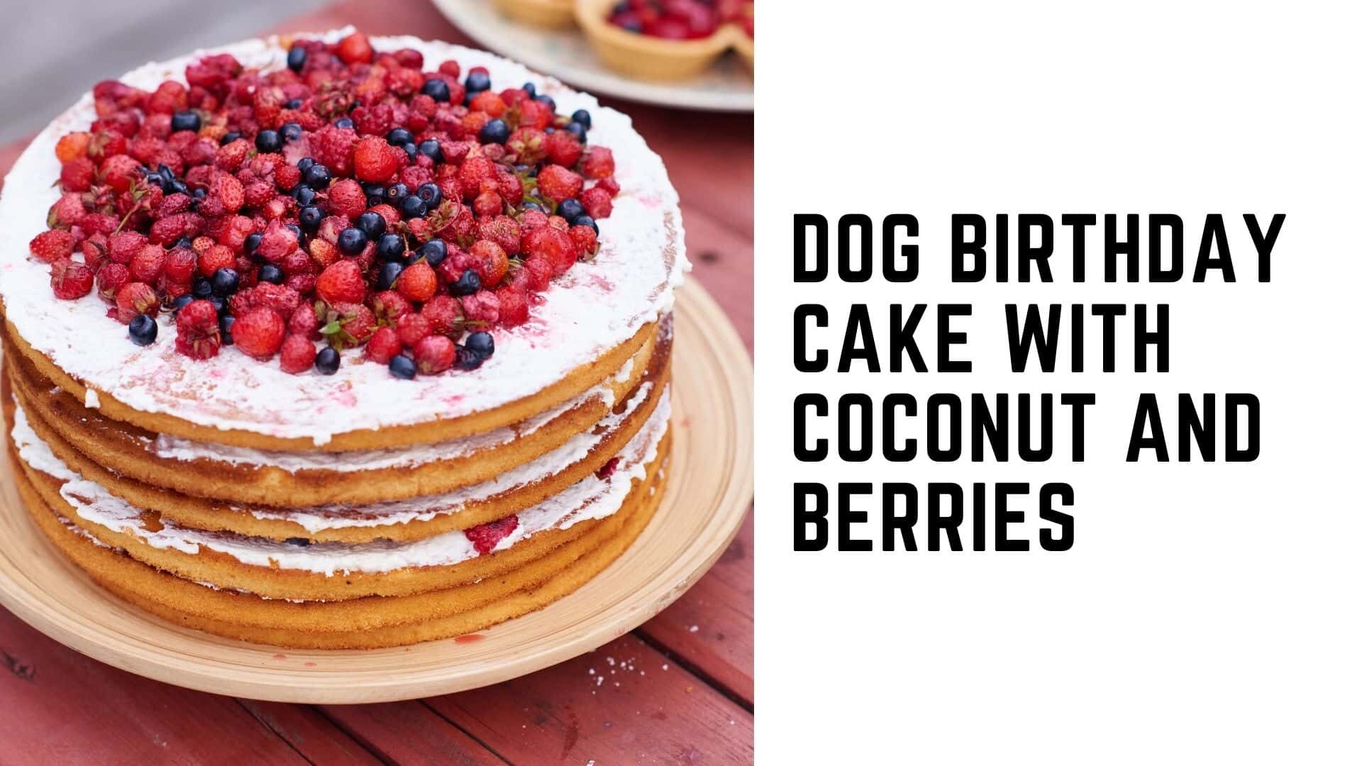 Dog birthday cake with coconut and berries