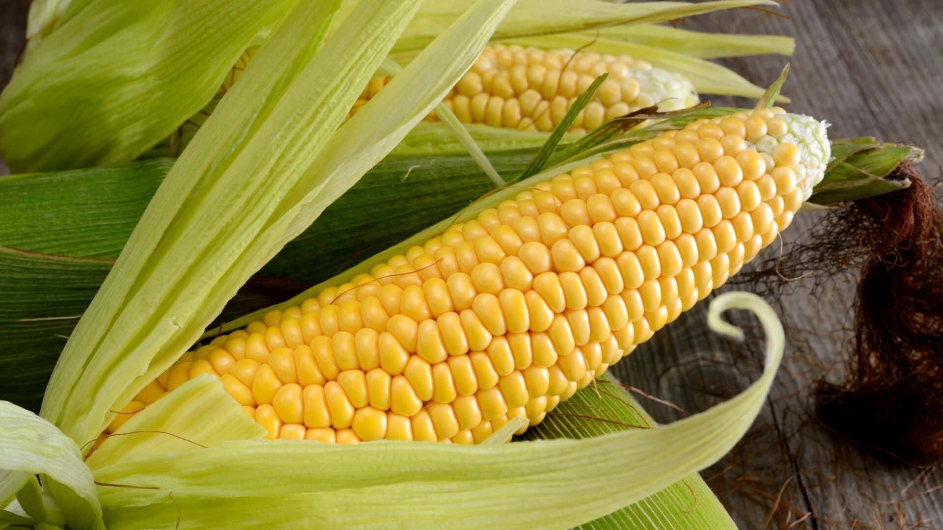 How to help my dog pass a corn cob?