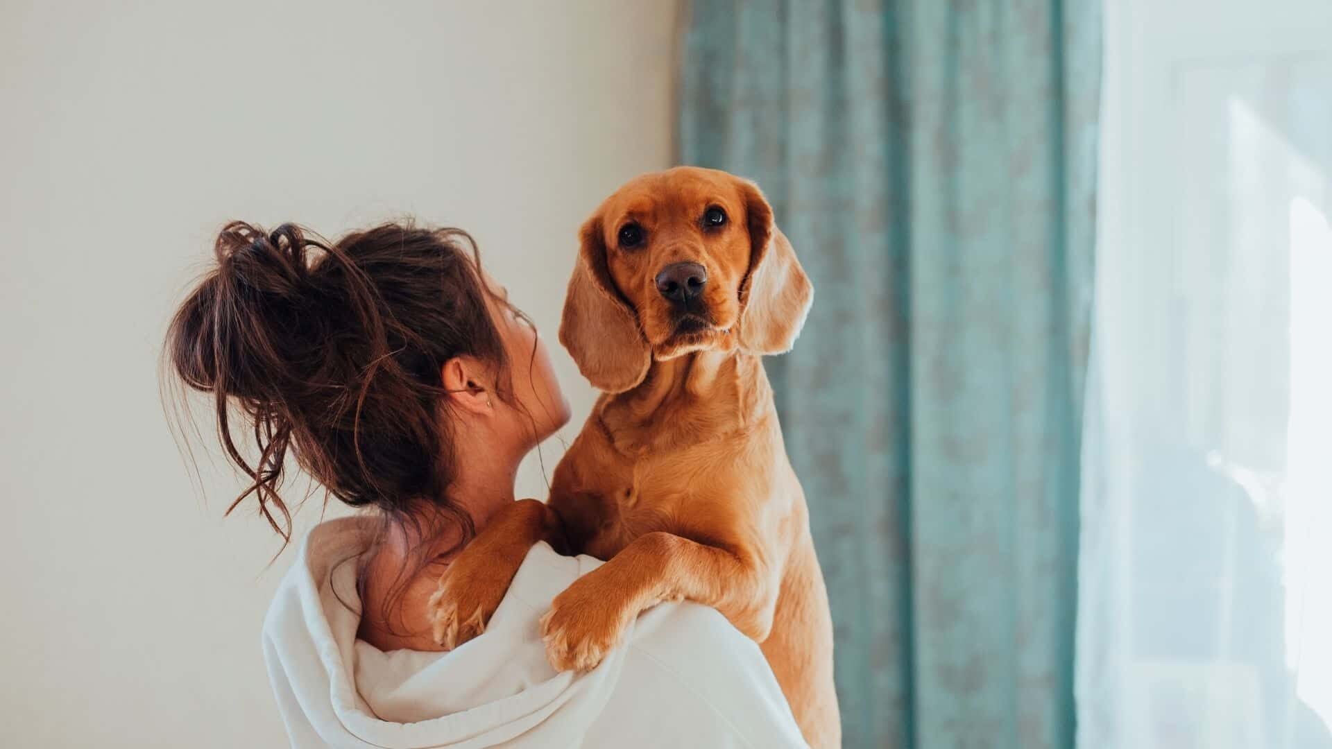 Getting a dog without telling husband