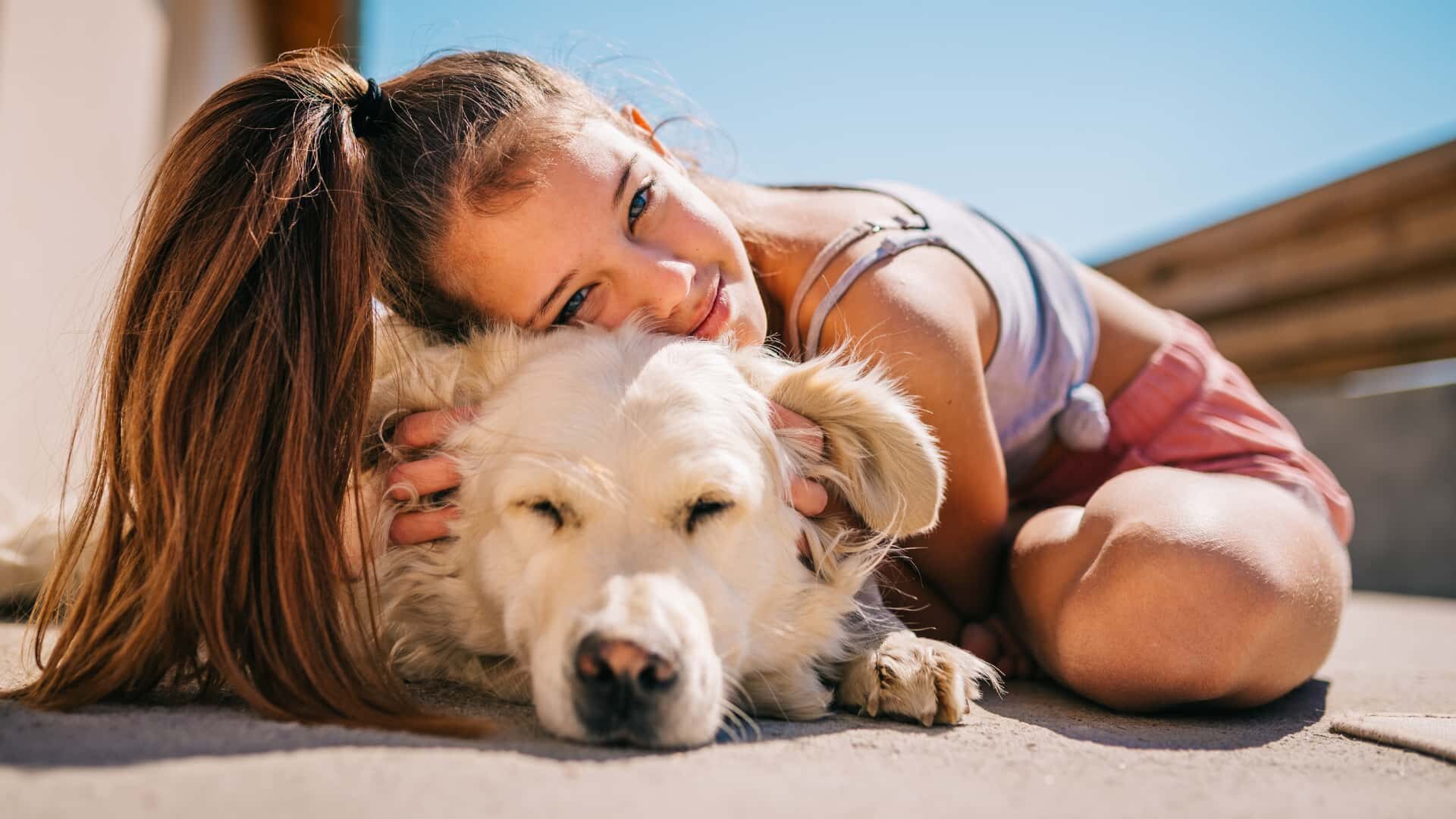 What Is an Emotional Support Dog For: Guide with Best 5 Dogs